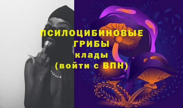 дмт Балабаново