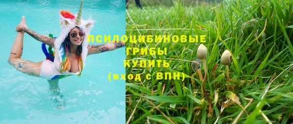 дмт Баксан