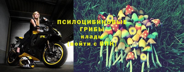 дмт Баксан