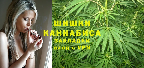 дживик Балахна