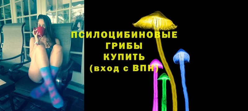 Галлюциногенные грибы Psilocybine cubensis  Горняк 